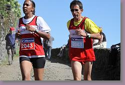 Salers 25.05.11 03 449 * 640 x 427 * (100KB)